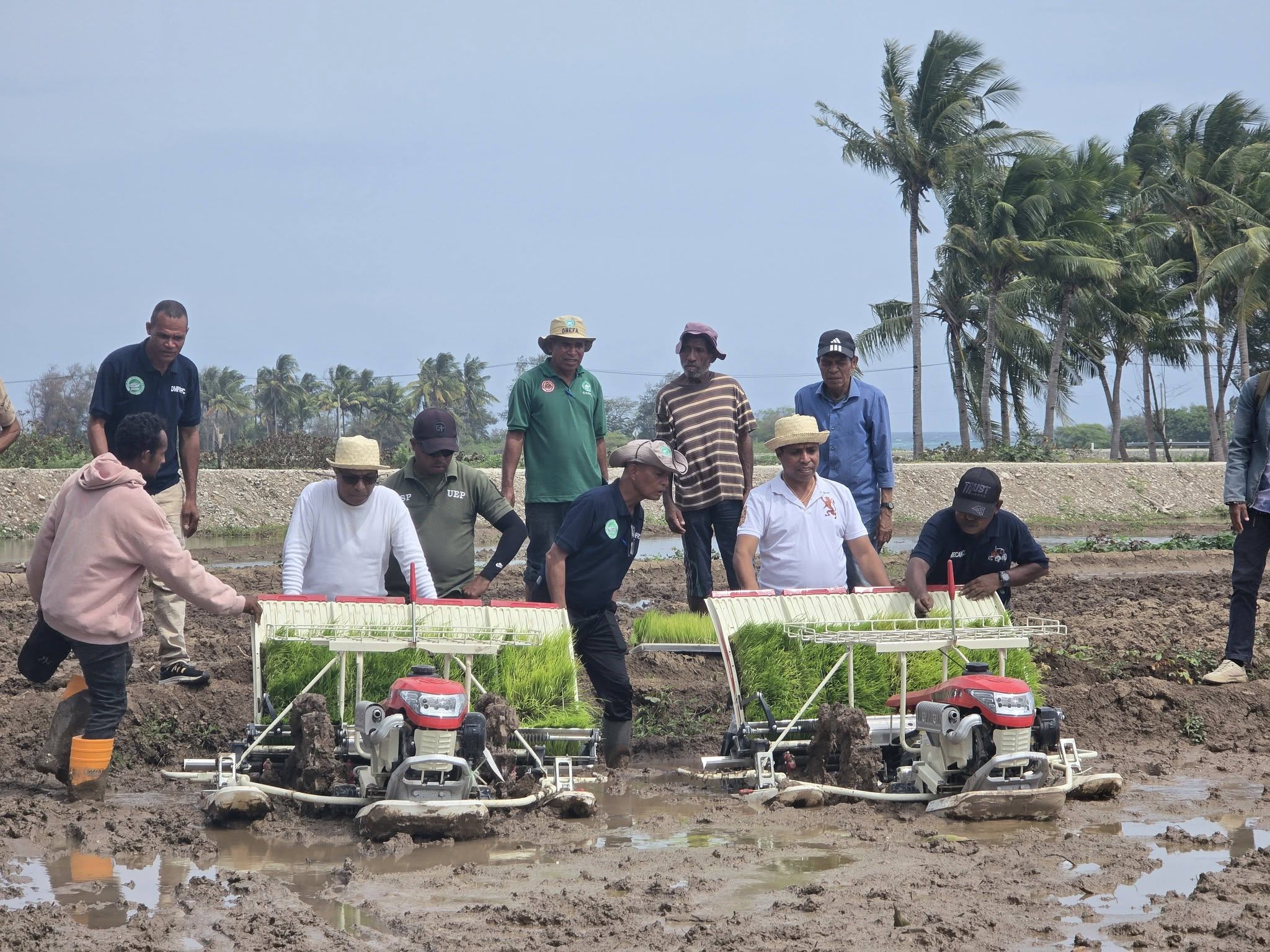 Timor-Leste Tempu Ona Atu Moderniza Setór Agrikultura