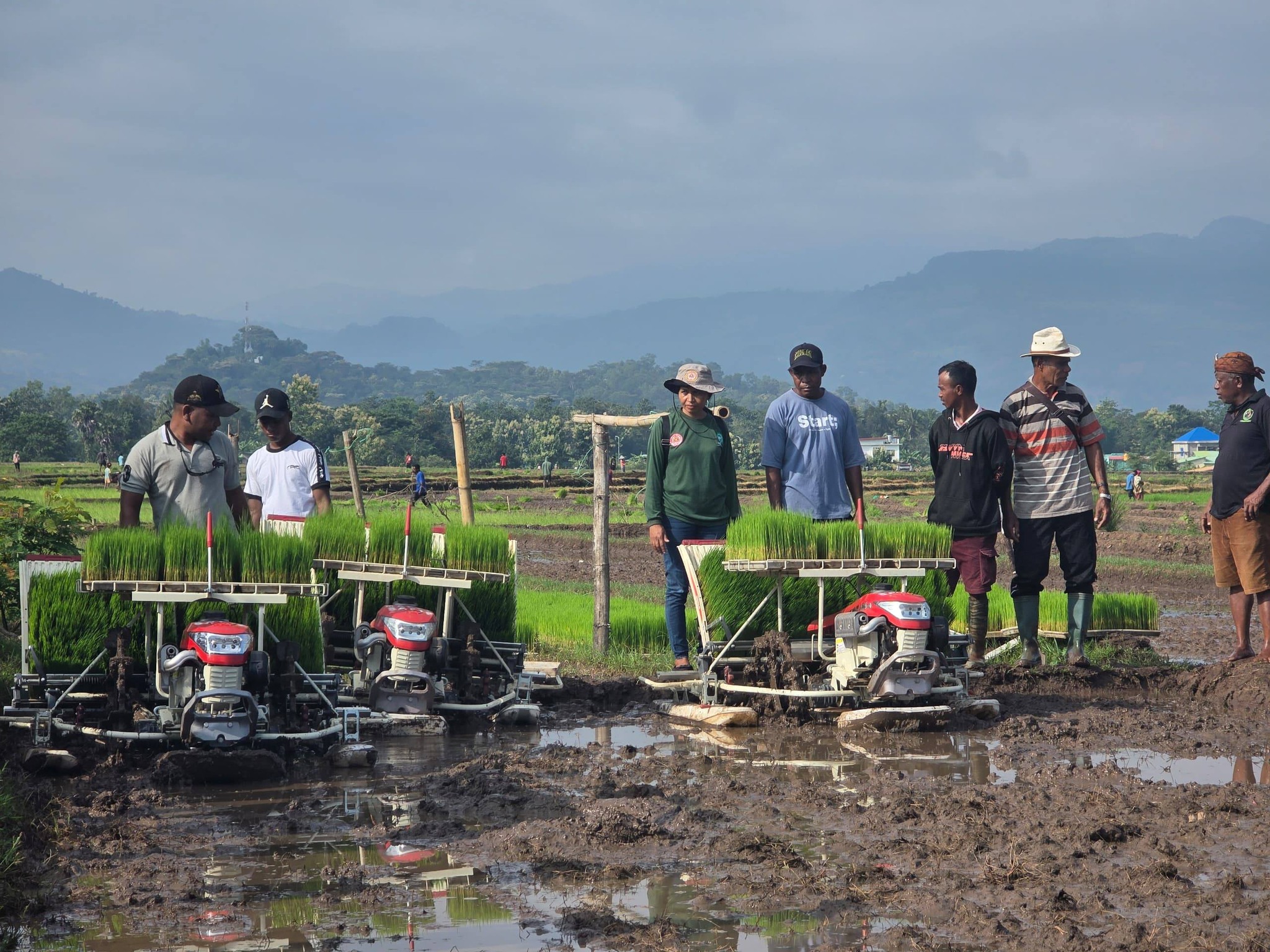 Agrikultór Maliana Hahú Moderniza Sistema Agrikutura Tradisionál ba Agrikultura Modernu