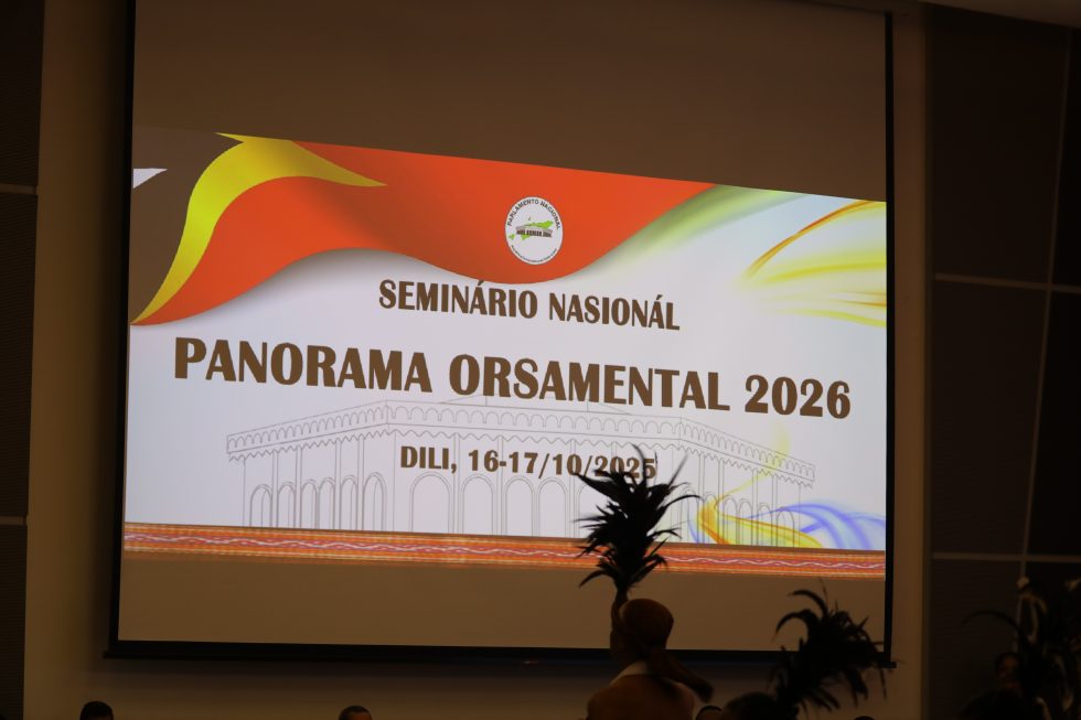 Vise-Primeiru-Ministru Asuntu Sosiál Halo Aprezentasaun Konaba Reforma Karis Sosiál no Dezenvolvimentu Rurál no Abitasaun Komunitária