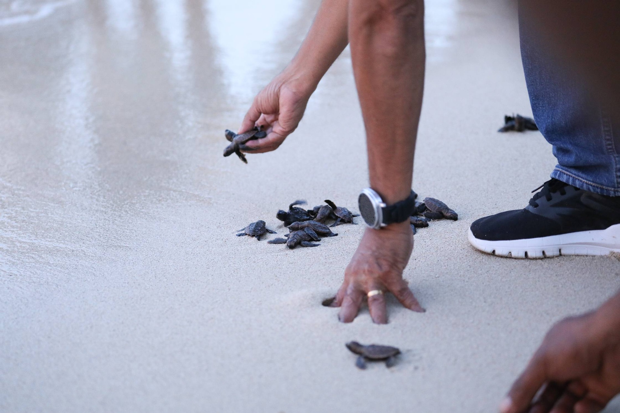 𝐌𝐀𝐏𝐏𝐅 𝐅𝐀𝐇𝐄 𝐂𝐎𝐎𝐋 𝐁𝐎𝐗 𝐍𝐎 𝐇𝐔𝐒𝐈𝐊 𝐋𝐄𝐍𝐔𝐊-𝐎𝐀𝐍 𝐈𝐇𝐀 𝐂𝐎𝐌