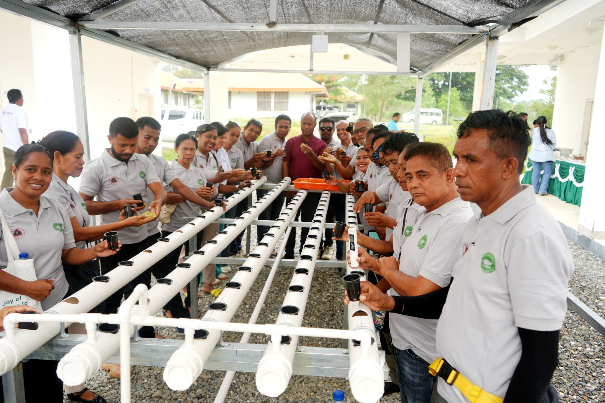 PARSEIRU TOMAK ENTREGA SERTIFIKADU BA FORMANDU 23 NE'EBE TUIR FORMASAUN HODROPONIKA