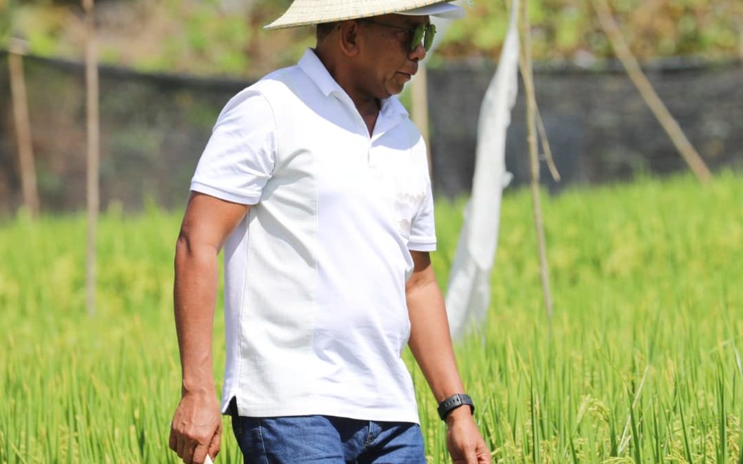 VMAP Hamutuk ho MAE Partisipa iha Serimonia Kolleta Hare Hibrida iha Manatuto