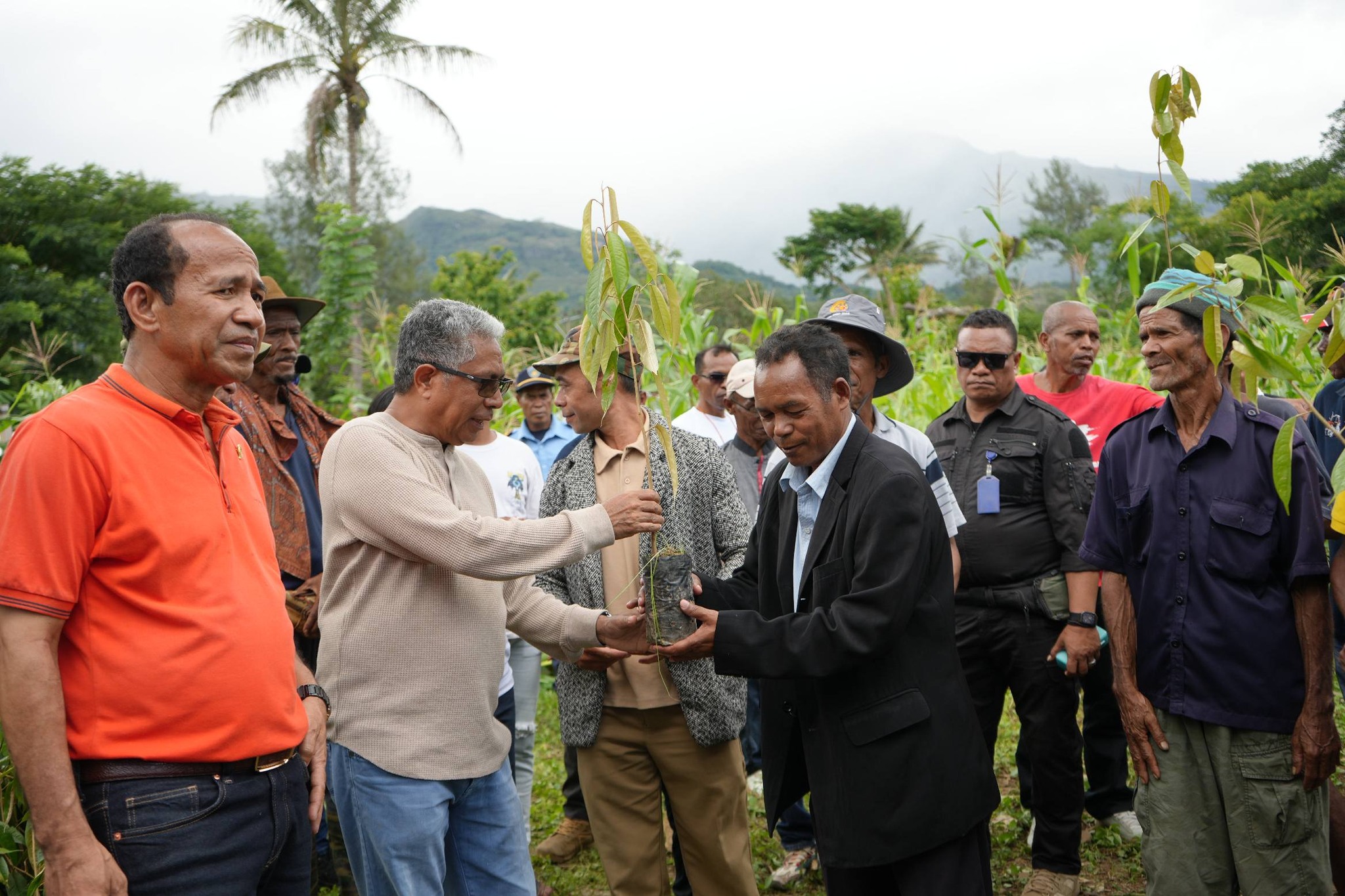 MAPPF KUDA DURIAN EKTARE 18 IHA AINARO