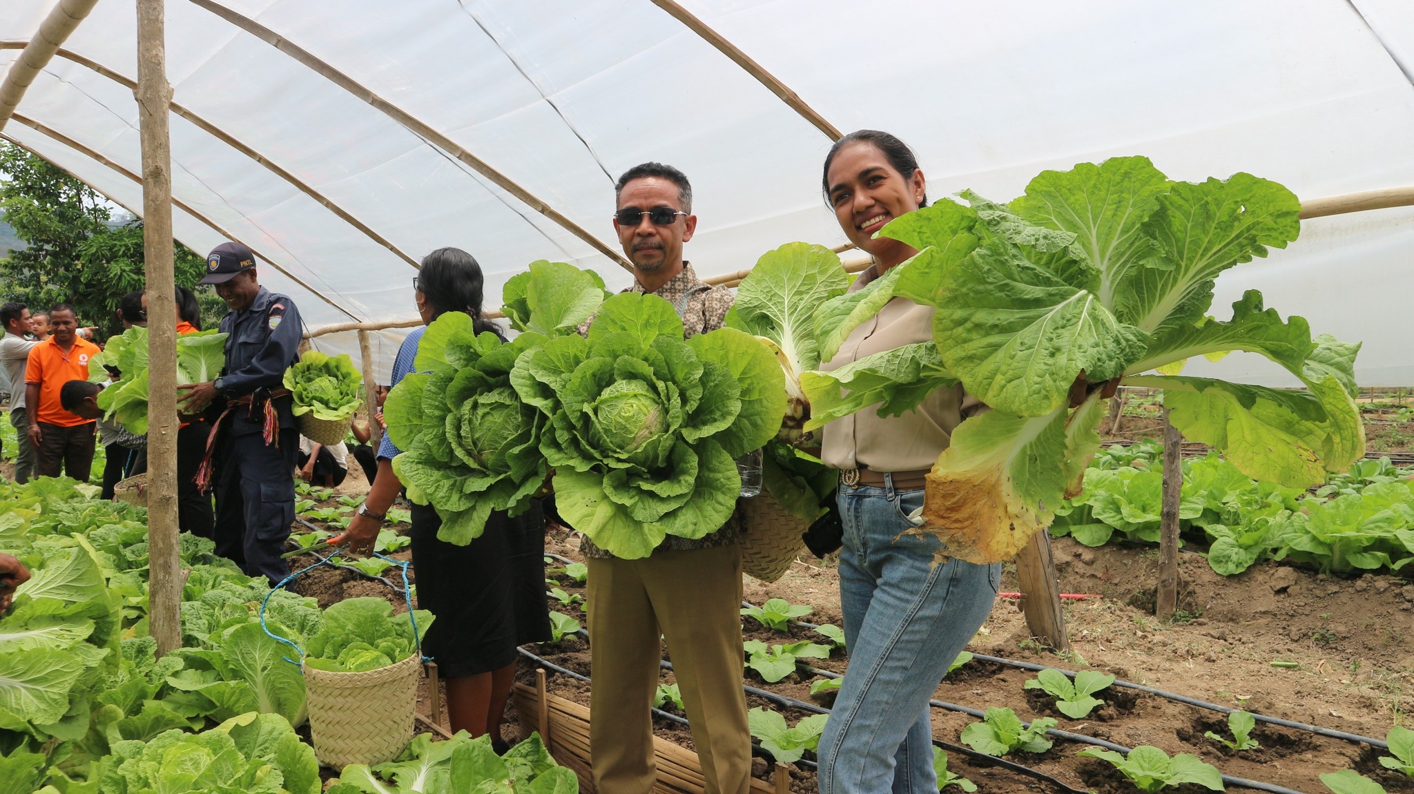 Komemorasaun Loron Agrikultór iha Aldeia Biuliko, Ainaro. Ainaro, 9 Outubru 2025 – Iha Aldeia Biuliko, postu Ainaro, municipiu Ainaro,  realiza serimónia  komemorasaun Loron Agrikultór marka prezensa husu autoridade lokál, re