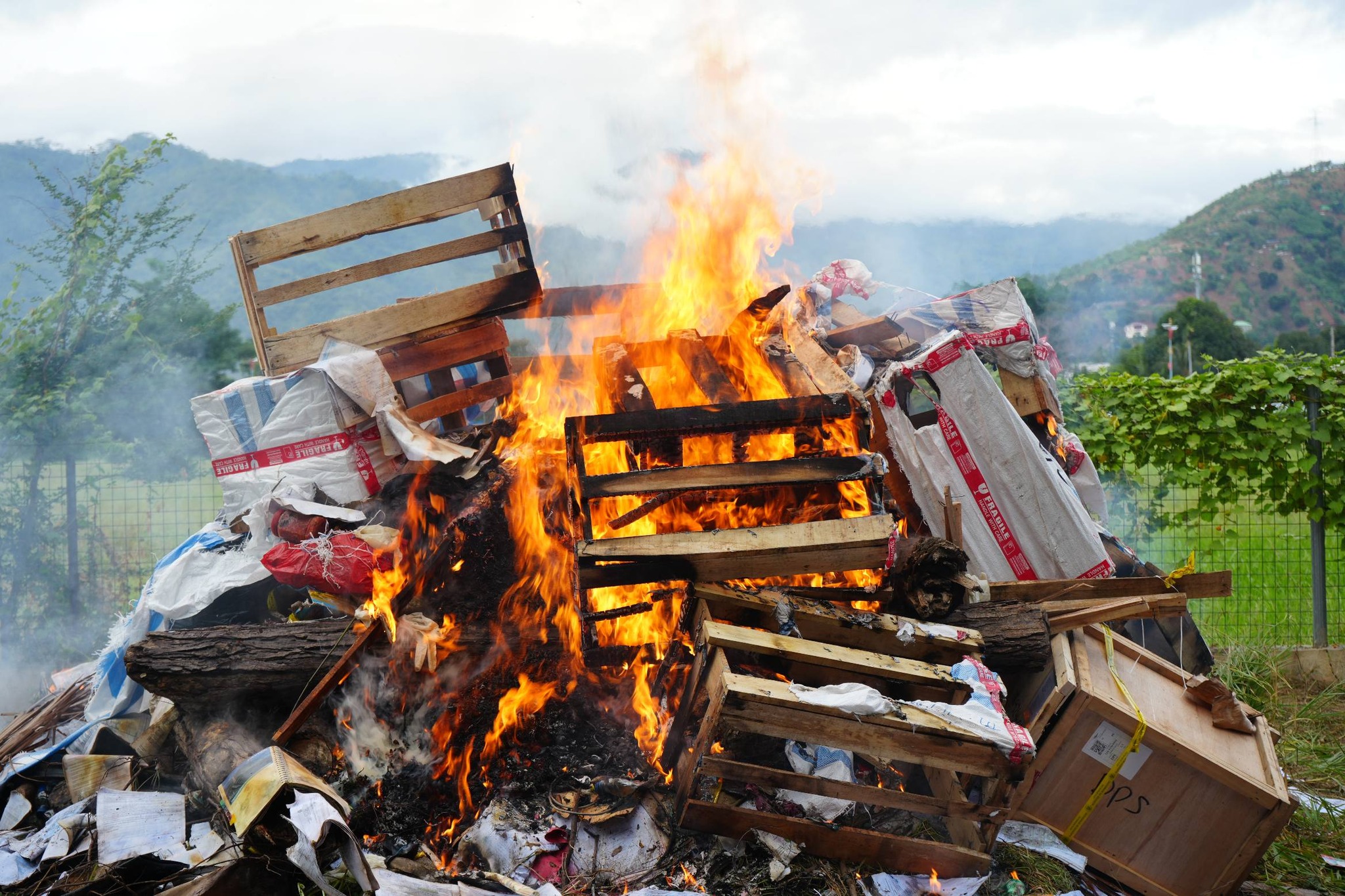 Unidade de Quarentena e Bioseguransa Destroi Produtu Importasaun Ne’ebé La Tuir Regra