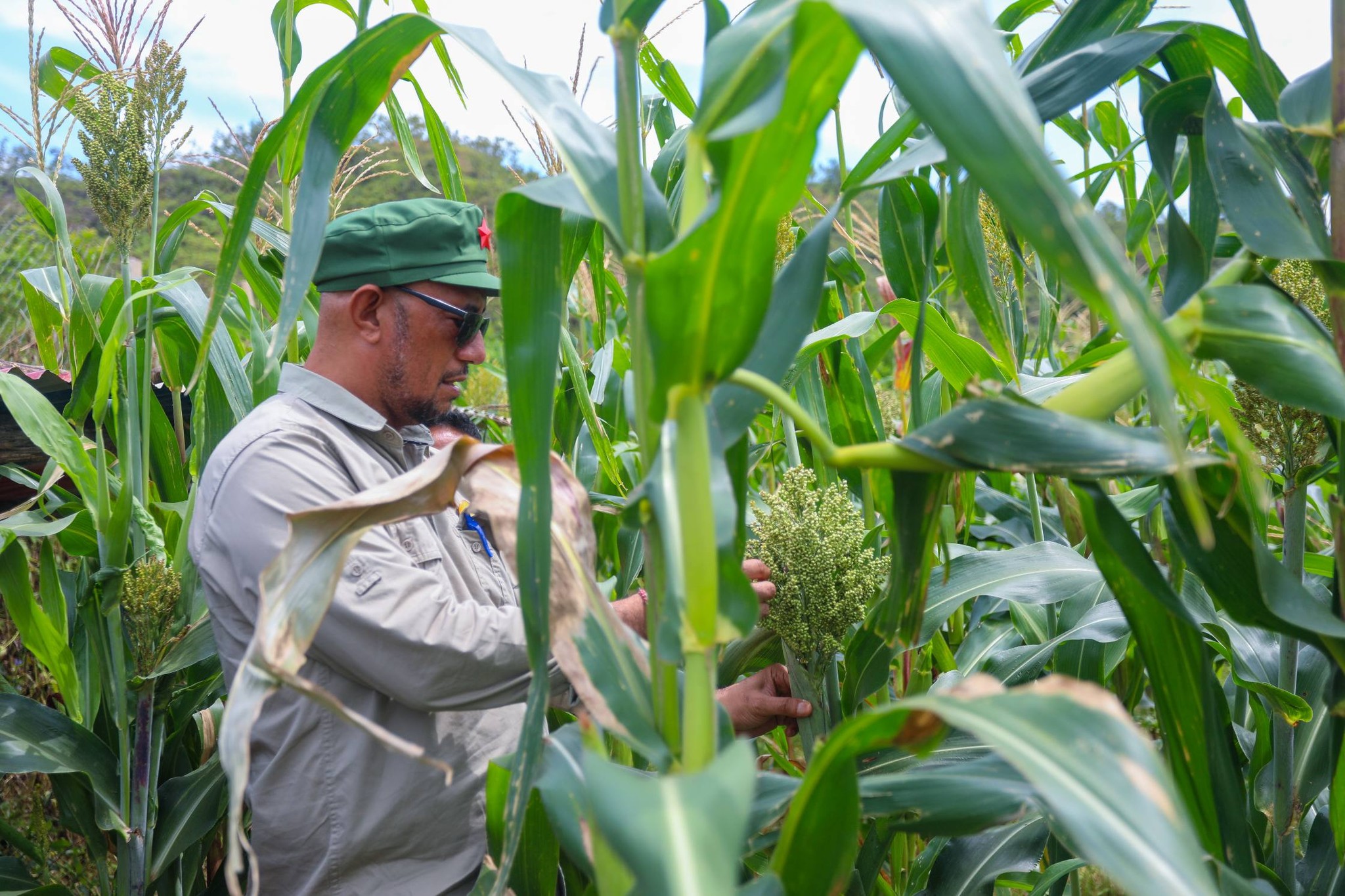 𝗦𝗘𝗞𝗼𝗼𝗽 𝗛𝗮𝗹𝗼 𝗟𝗮𝗻𝘀𝗮𝗺𝗲𝗻𝘁𝘂 𝗞𝘂𝗱𝗮 𝗕𝗮𝗳𝗼 𝗻𝗼 𝗩𝗶𝘇𝗶𝘁𝗮 𝗦𝗲𝗿𝘃𝗶𝘀𝘂 𝗯𝗮 𝗦𝗲𝗻𝘁𝗿𝘂 𝗜𝗻𝘁𝗲𝗴𝗿𝗮𝗱𝘂 𝗠𝗢𝗞𝗔𝗧𝗜𝗟 𝗦𝗮𝗿𝗮𝘂, 𝗔𝗶𝗹𝗲𝘂.