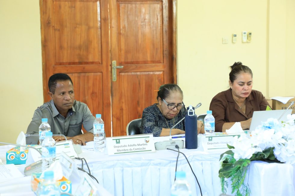 Parlamentu Nasionál, liu husi Komisaun D, Diskute Lei Konkorénsia